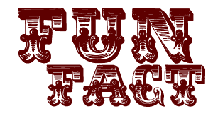 fun facts